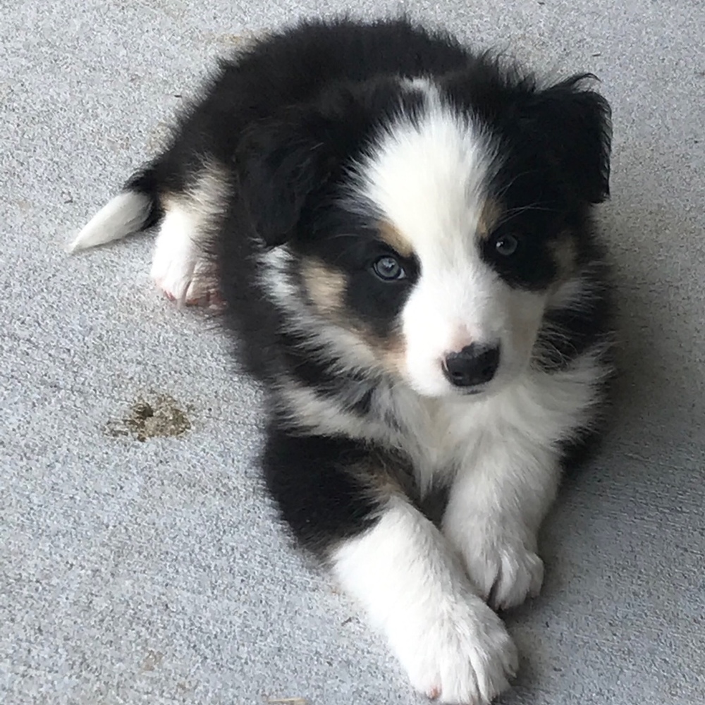 Meet your Posher, Vicki